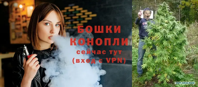 Шишки марихуана марихуана  darknet как зайти  Бабаево 